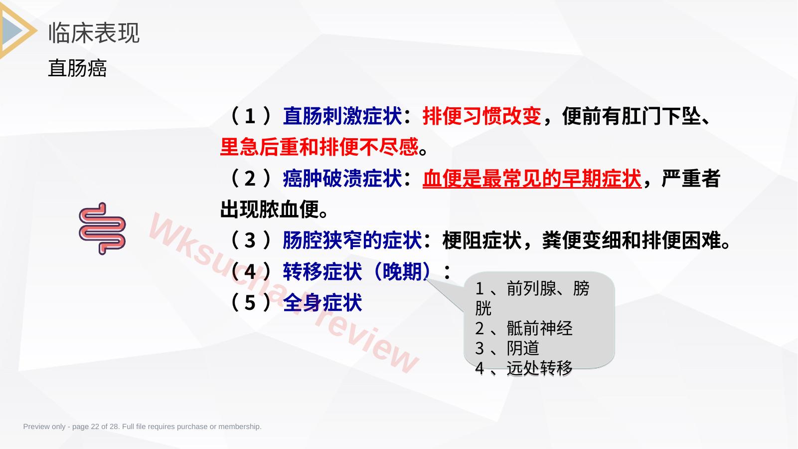 预览第 22 页