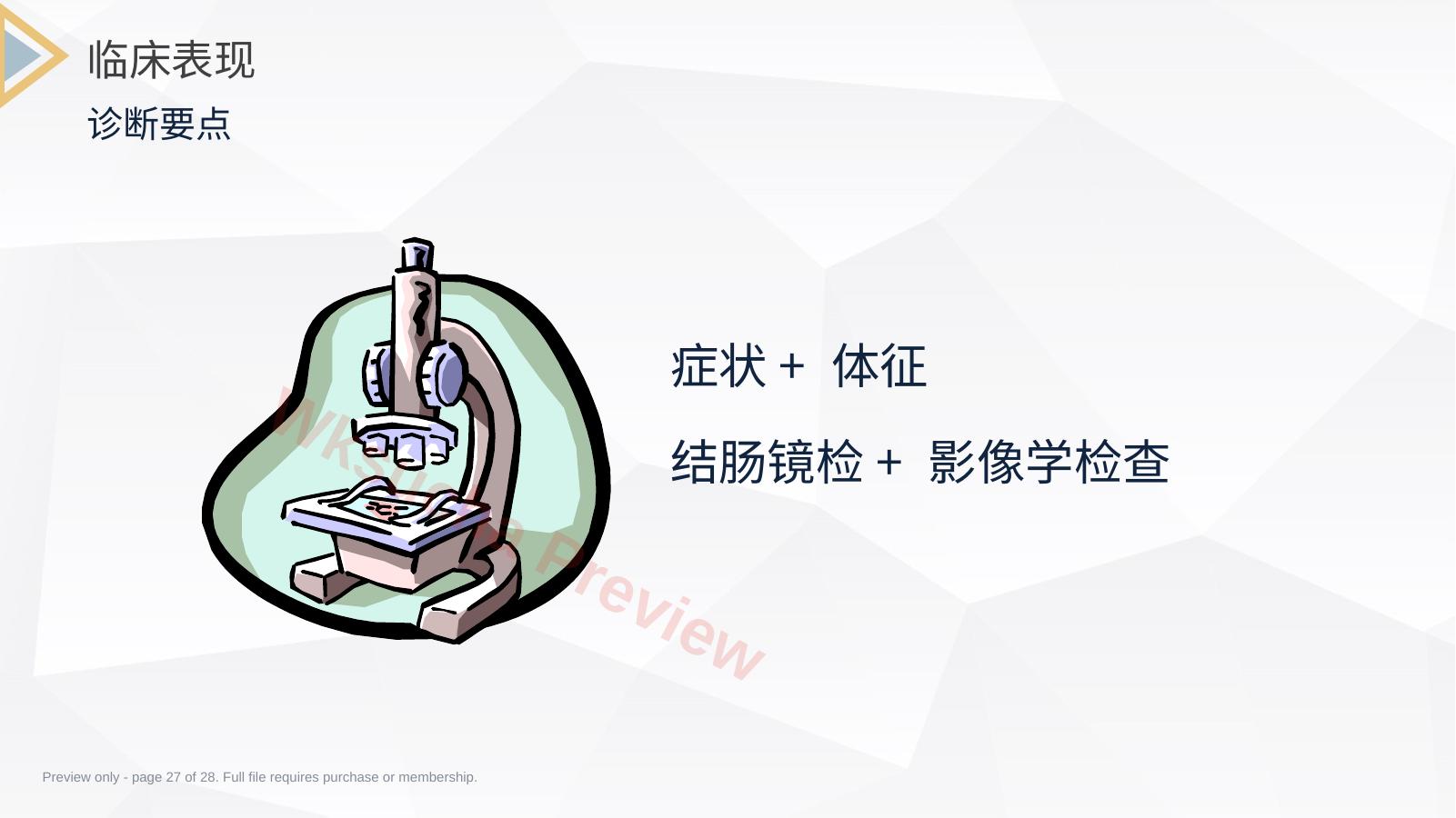 预览第 27 页