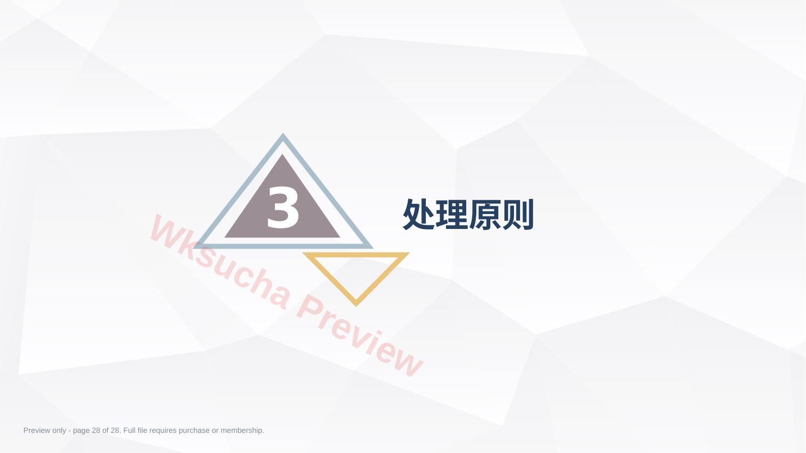 预览第 28 页