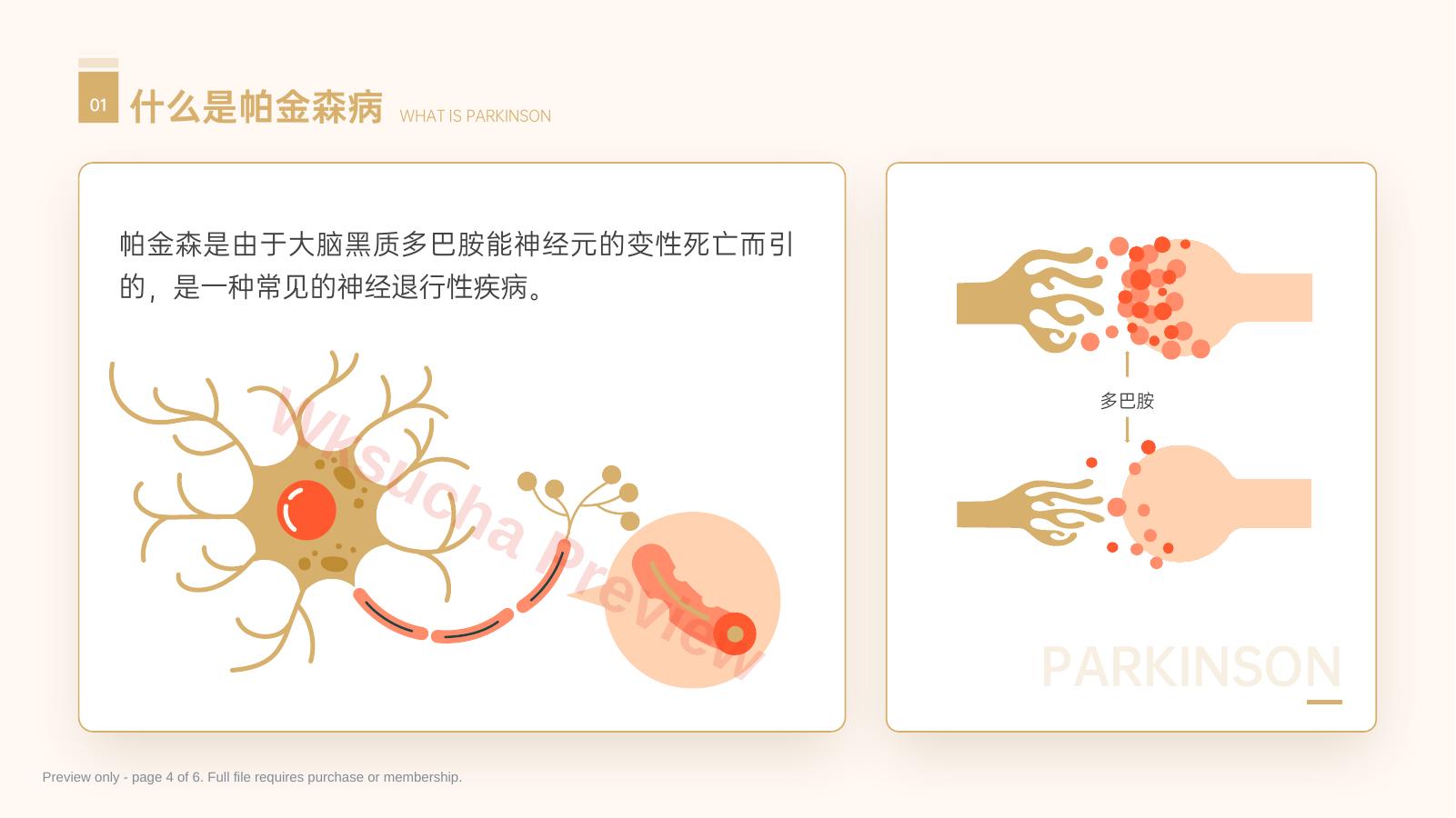 预览第 4 页