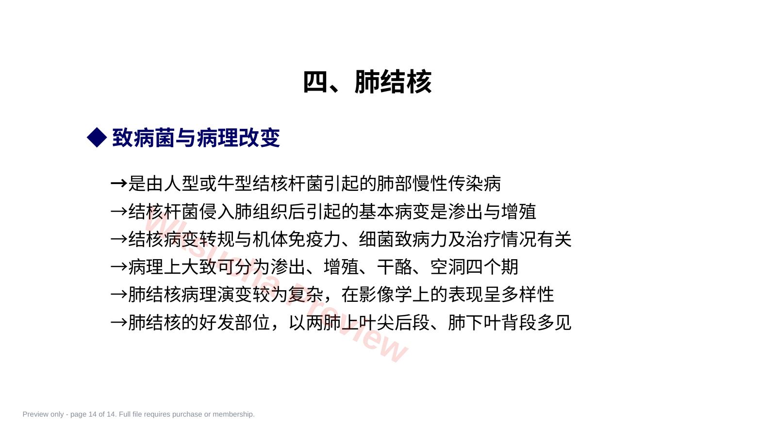 预览第 14 页