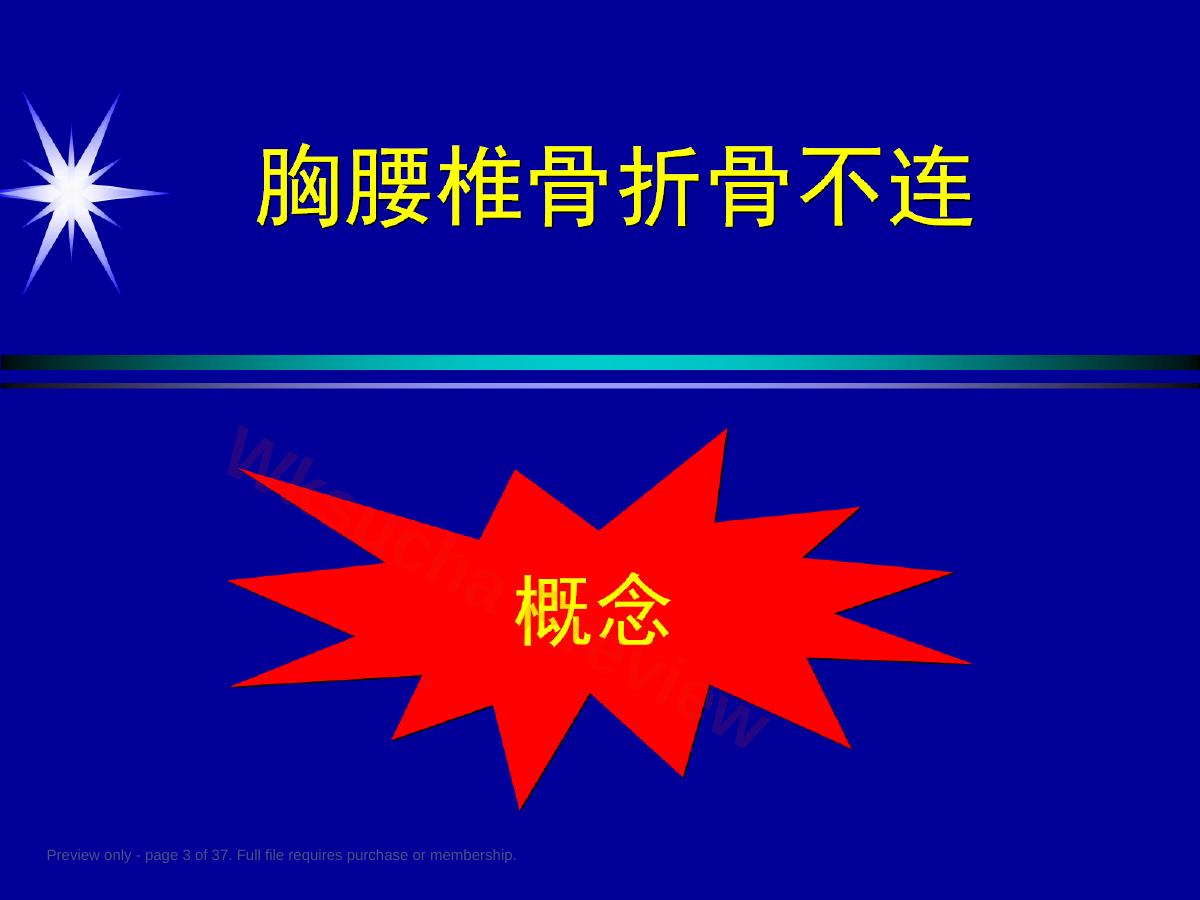 预览第 3 页