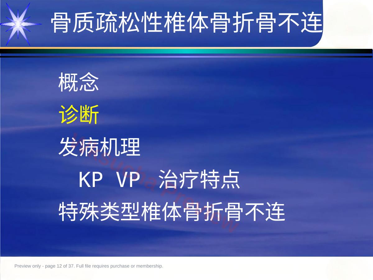 预览第 12 页