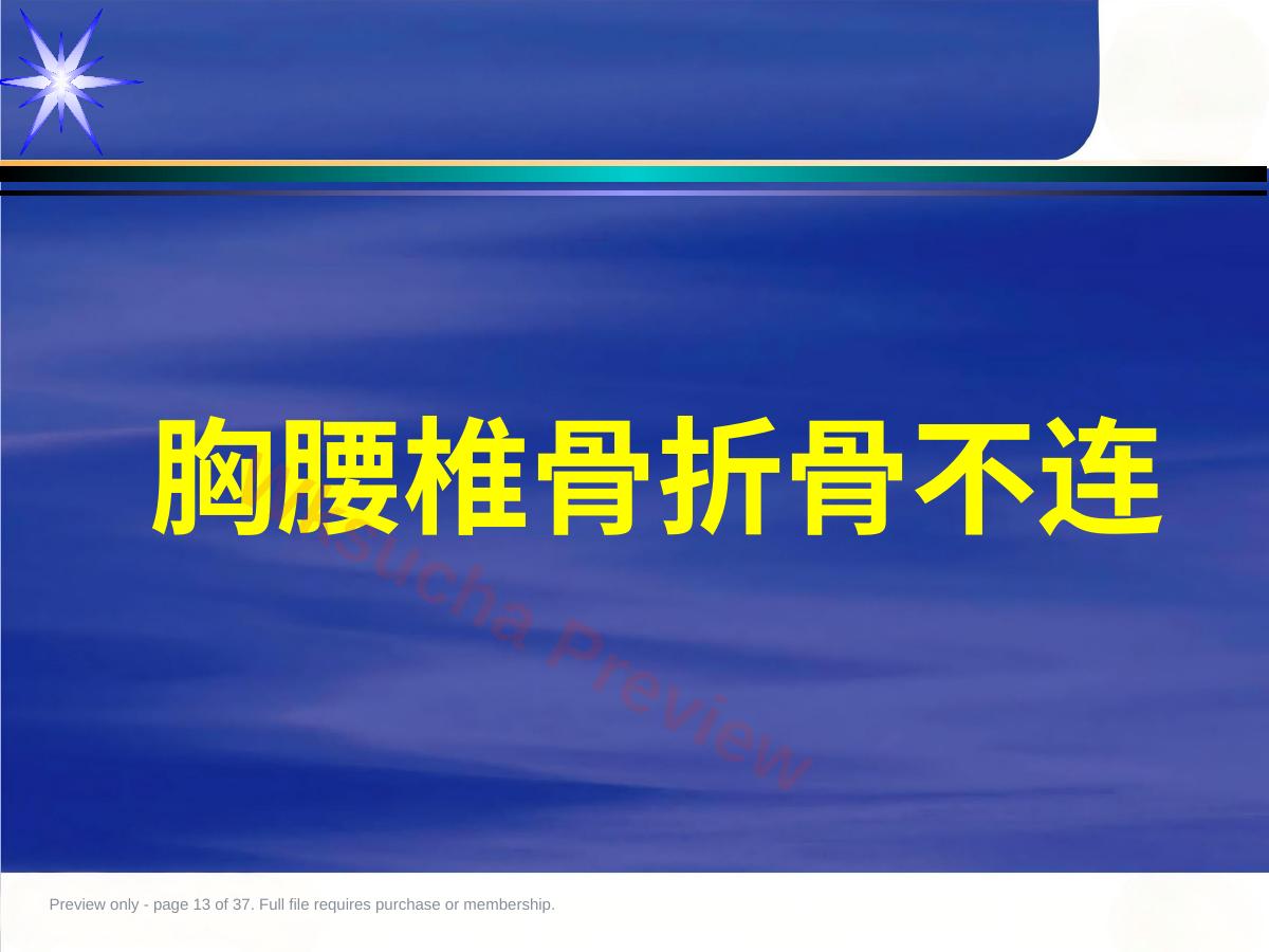 预览第 13 页