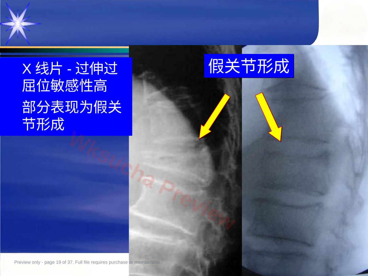 预览第 19 页