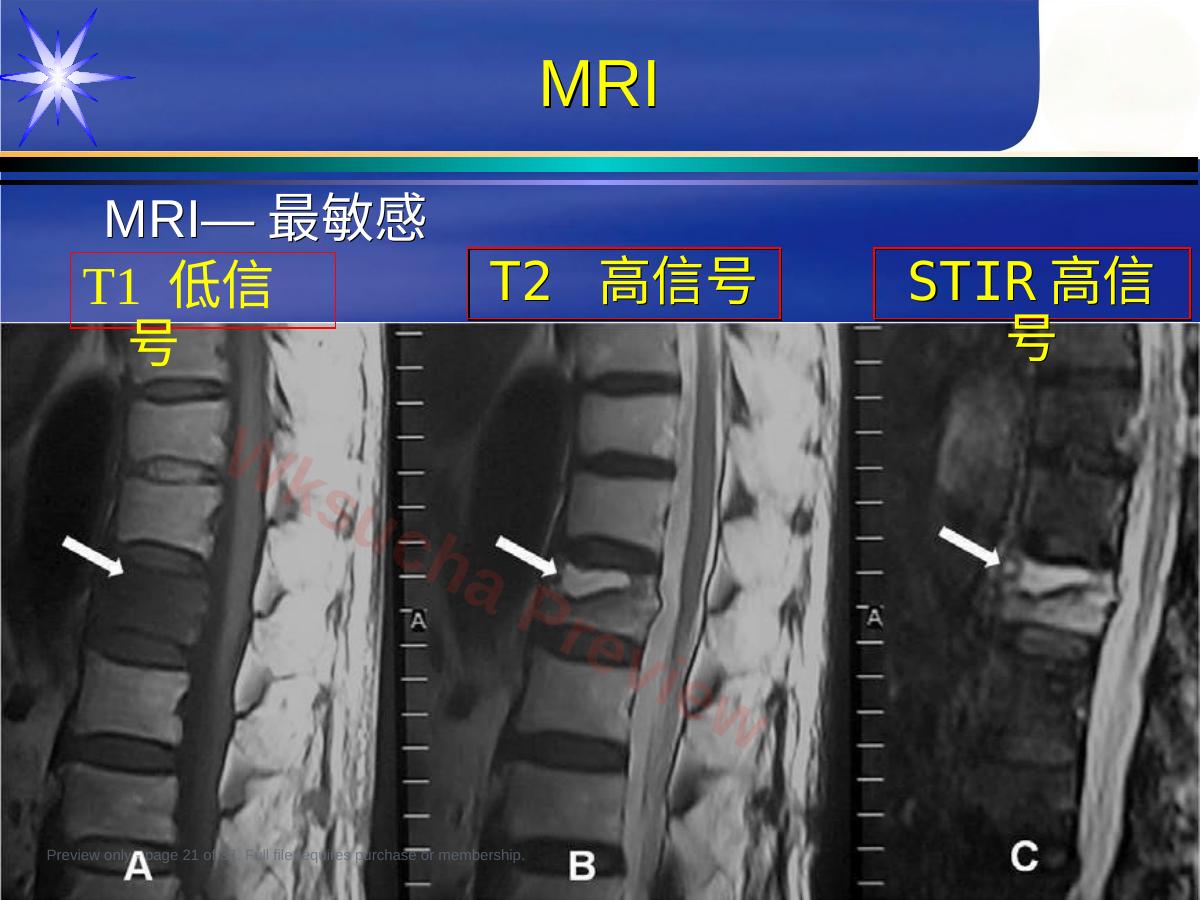 预览第 21 页