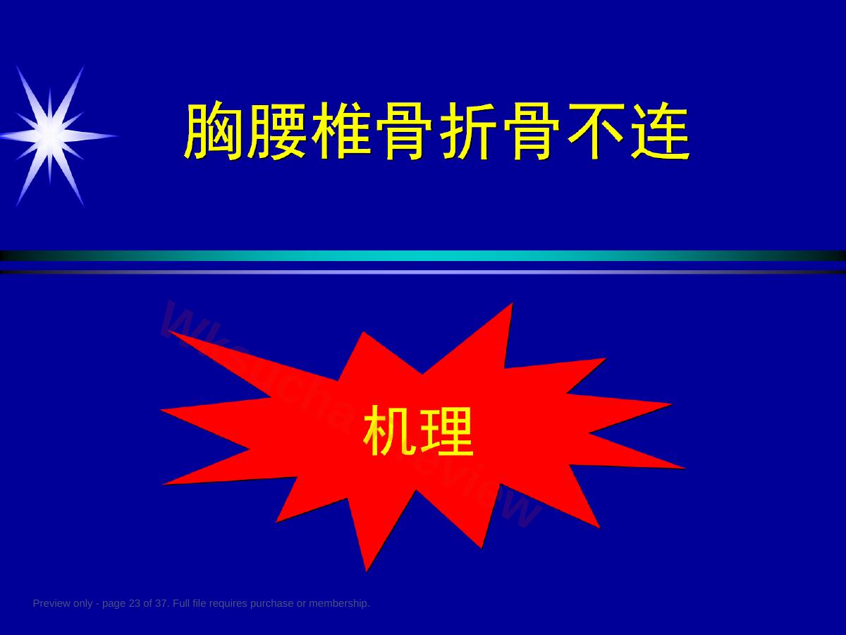 预览第 23 页
