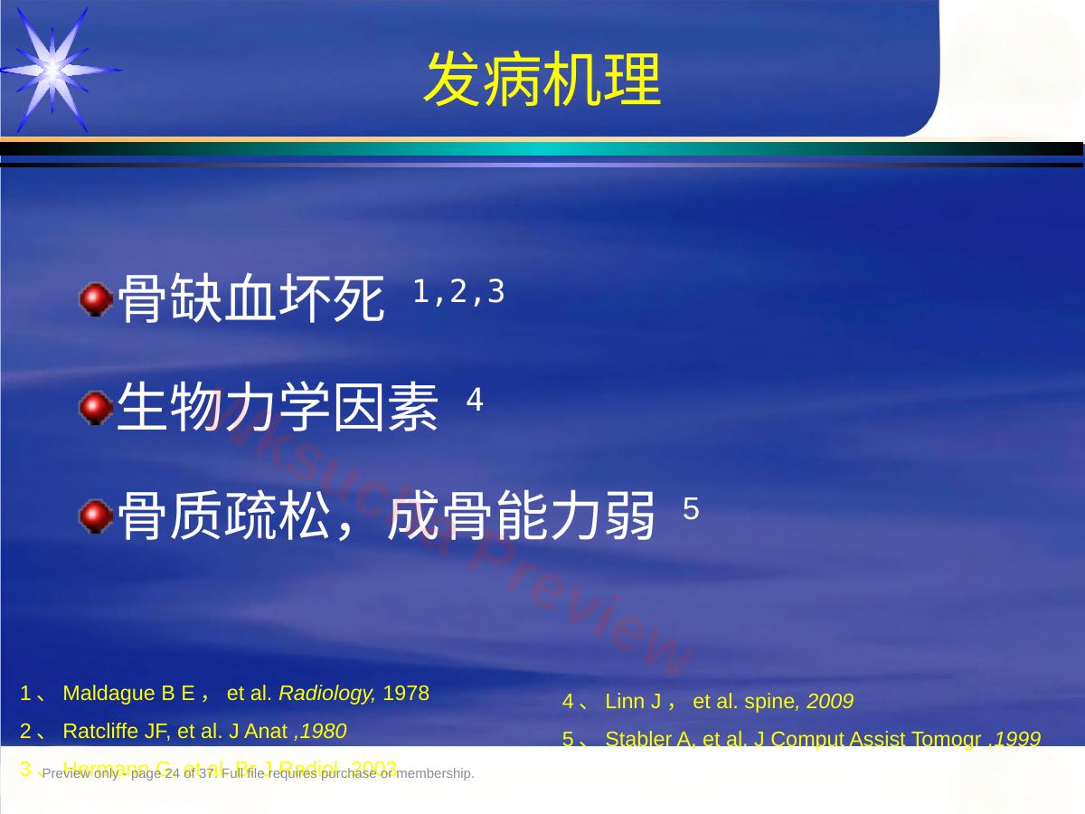 预览第 24 页