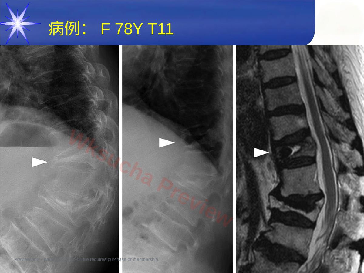 预览第 25 页