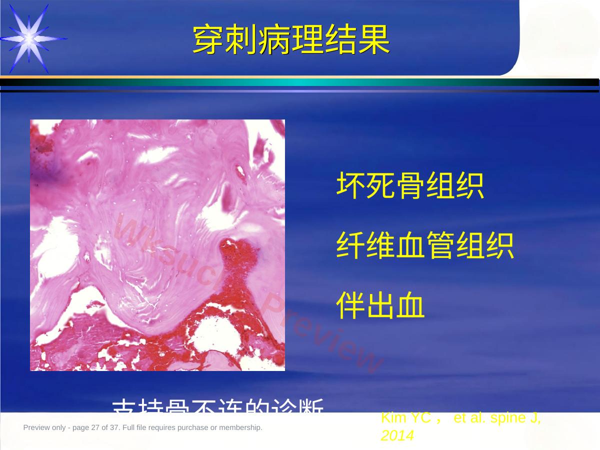 预览第 27 页
