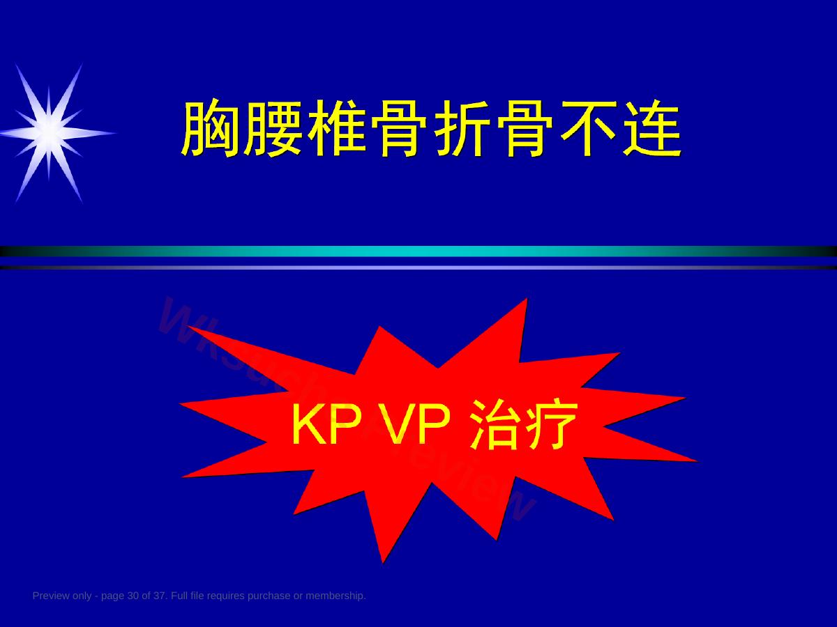 预览第 30 页