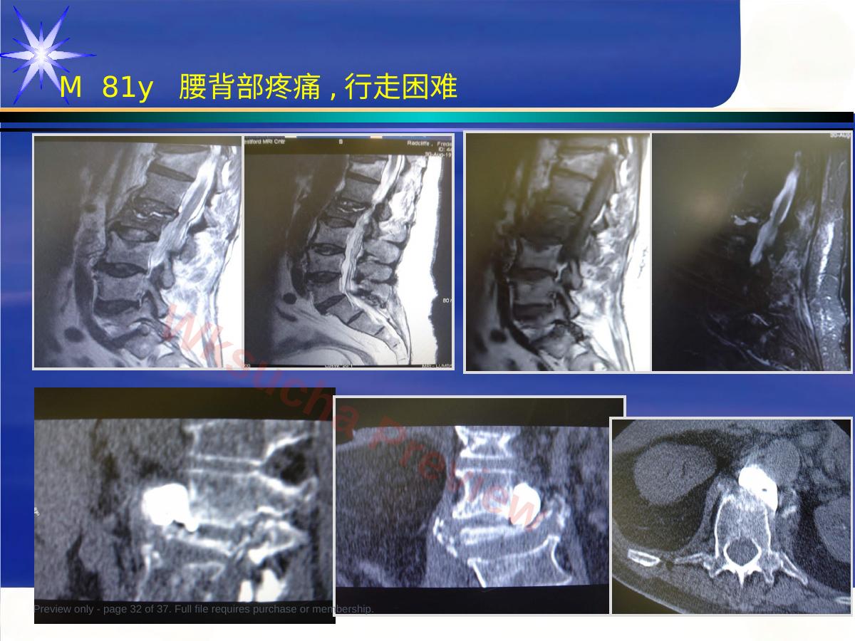 预览第 32 页