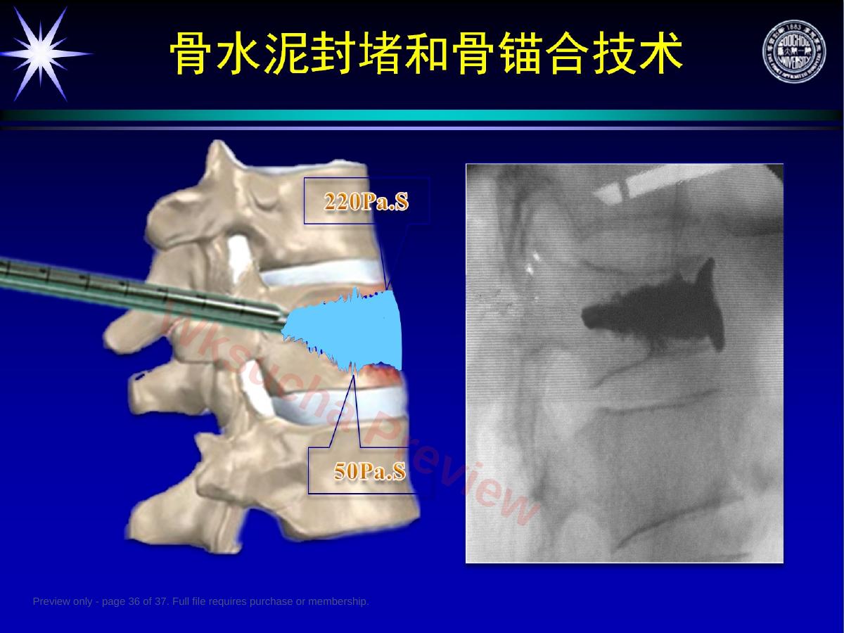 预览第 36 页