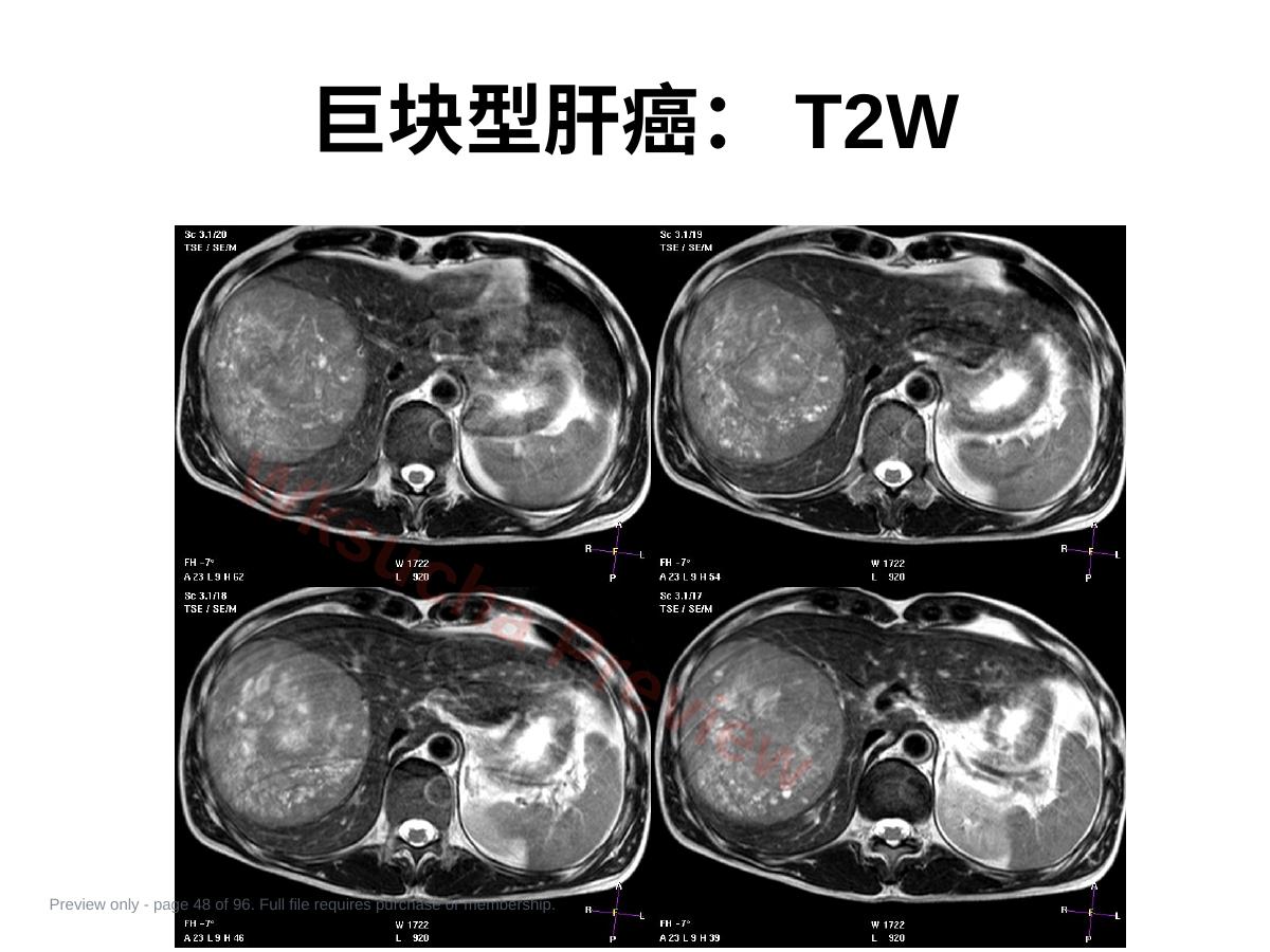 预览第 48 页