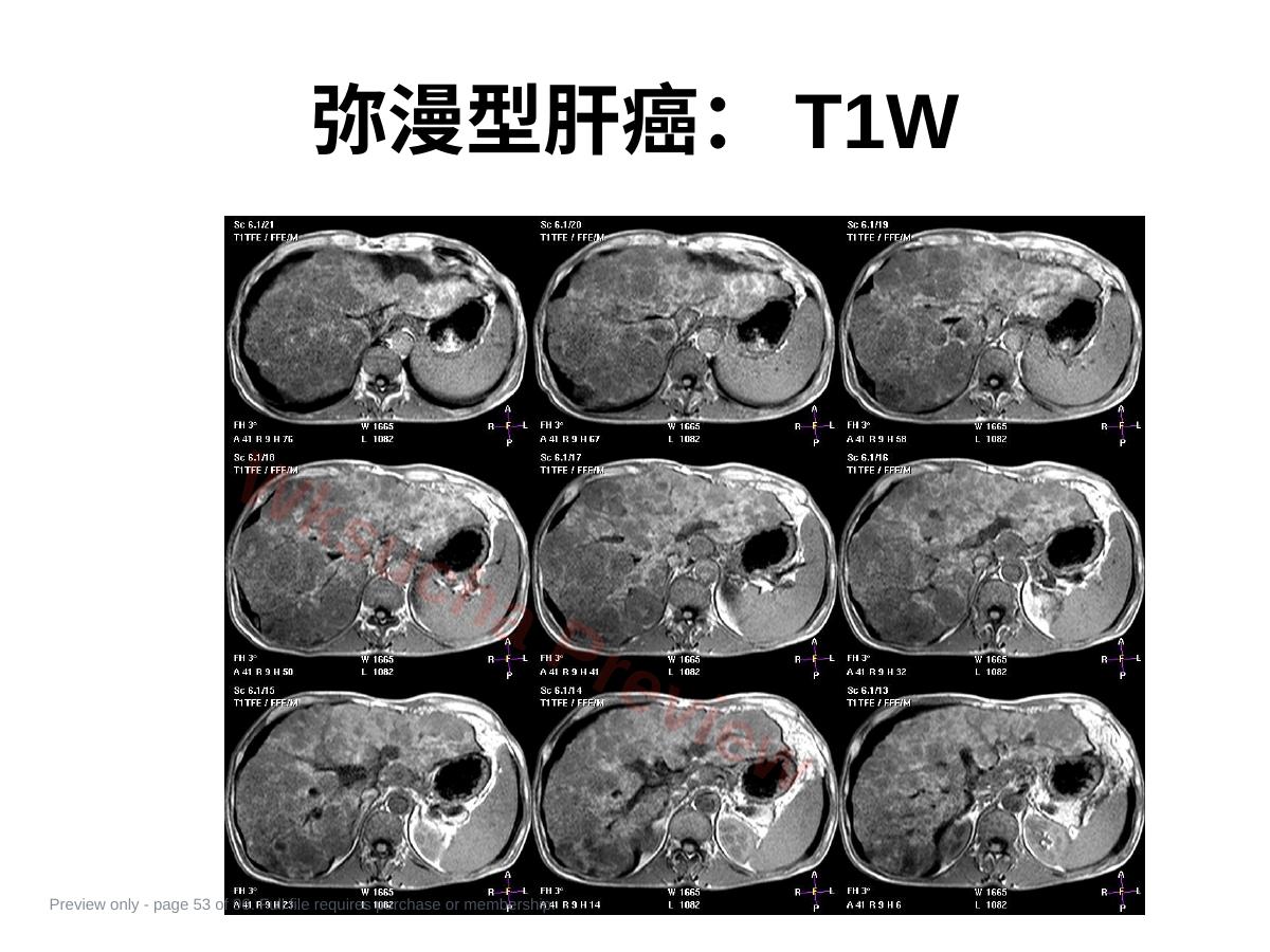 预览第 53 页