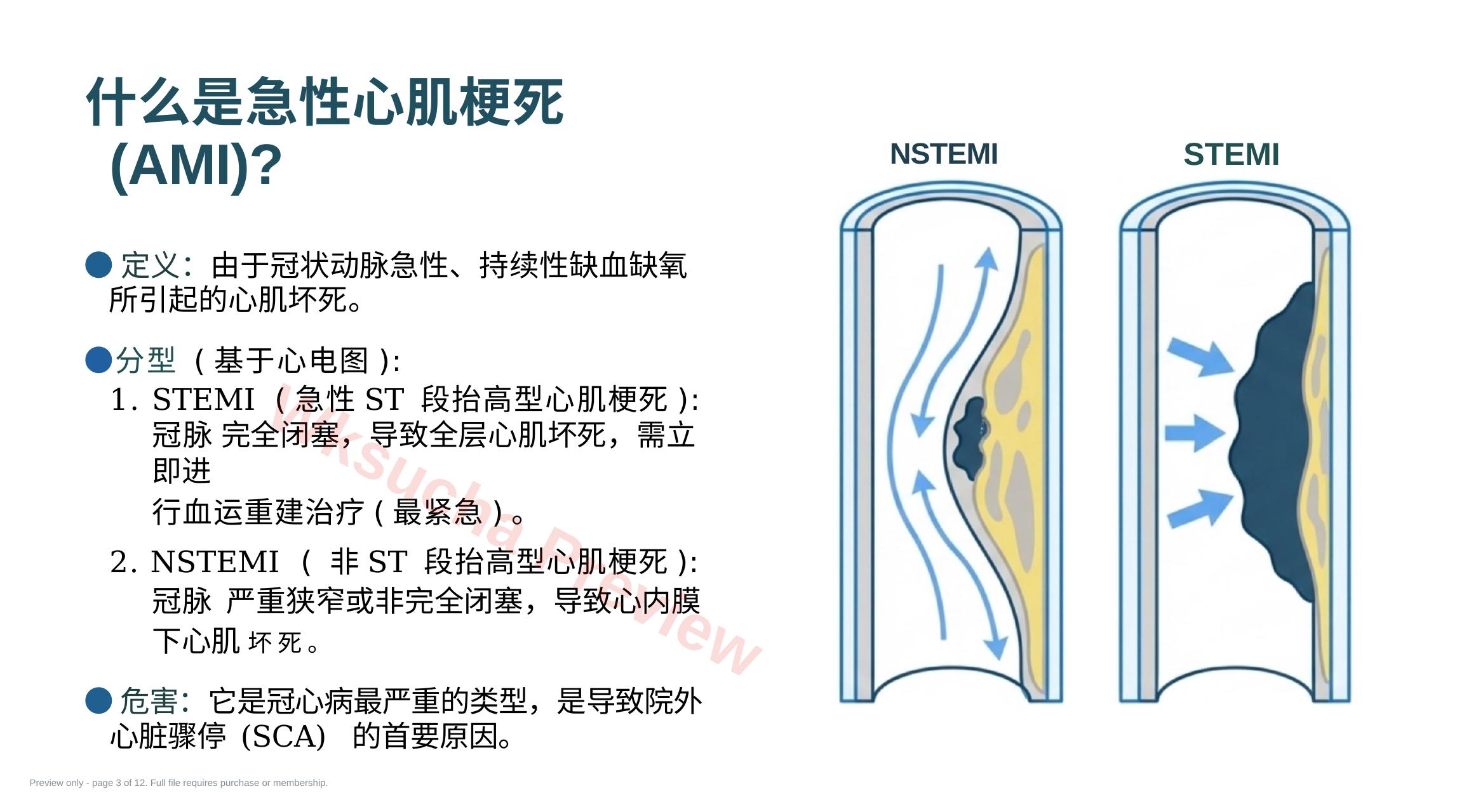 预览第 3 页