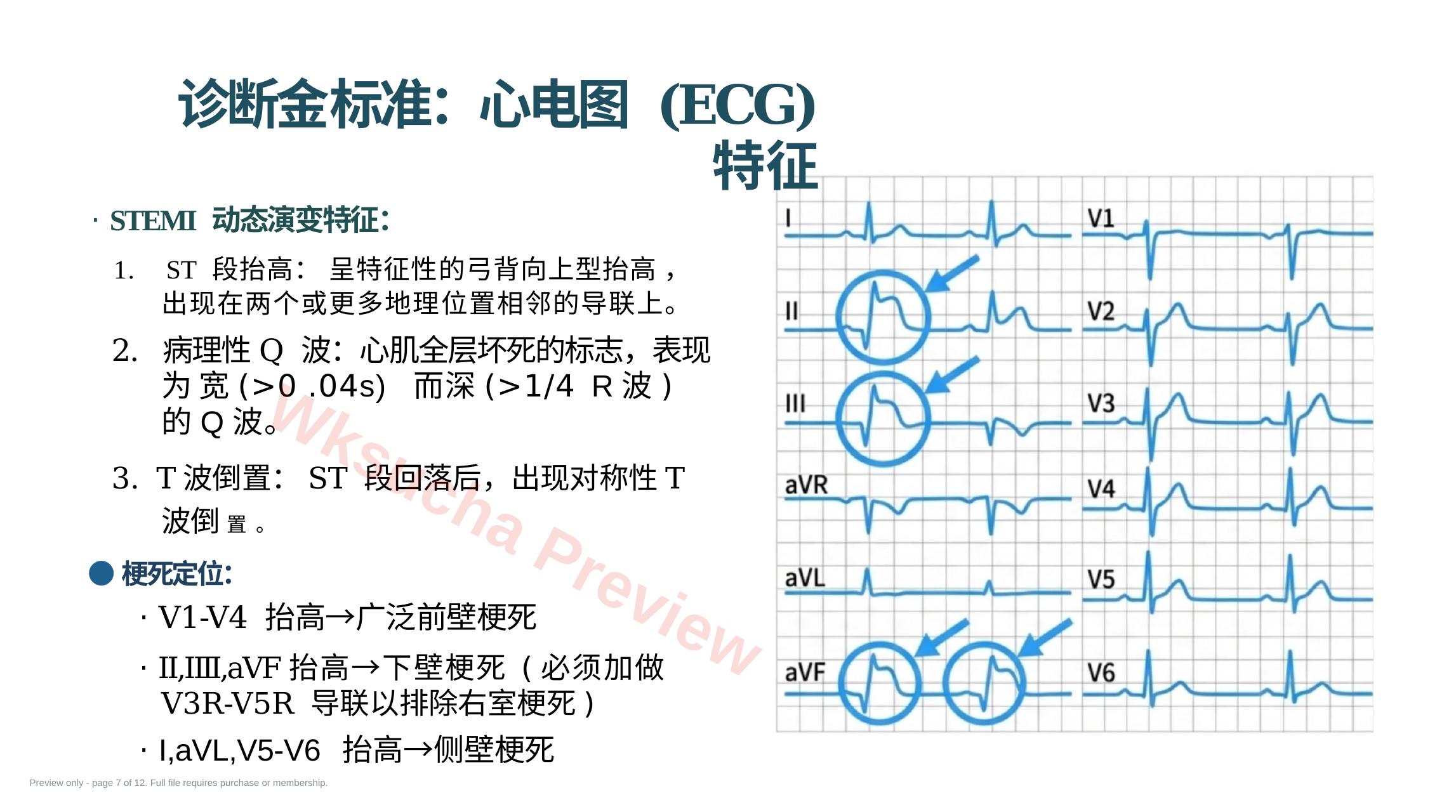 预览第 7 页