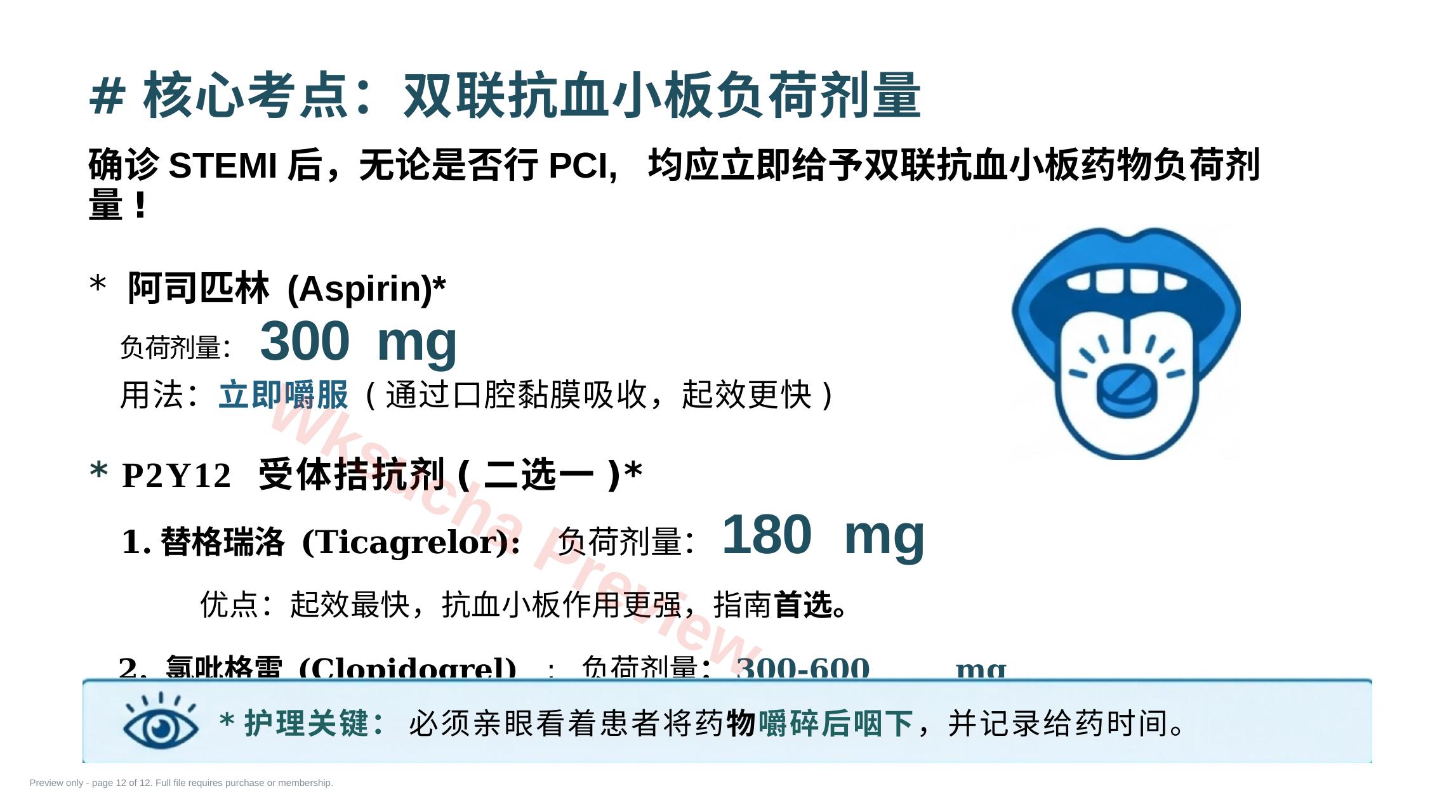 预览第 12 页