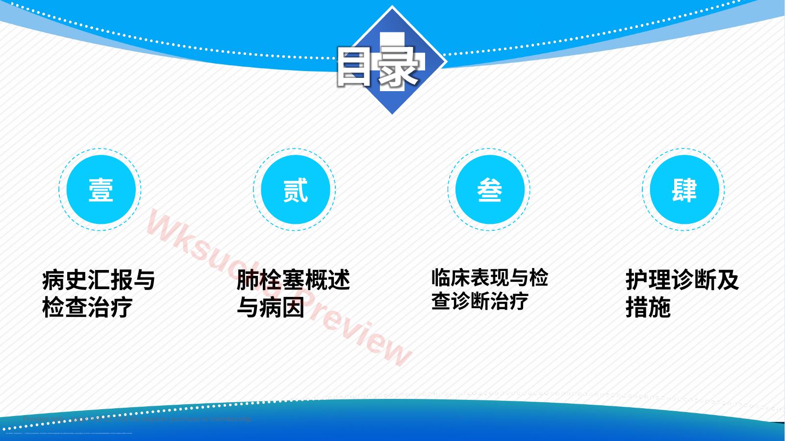 预览第 4 页