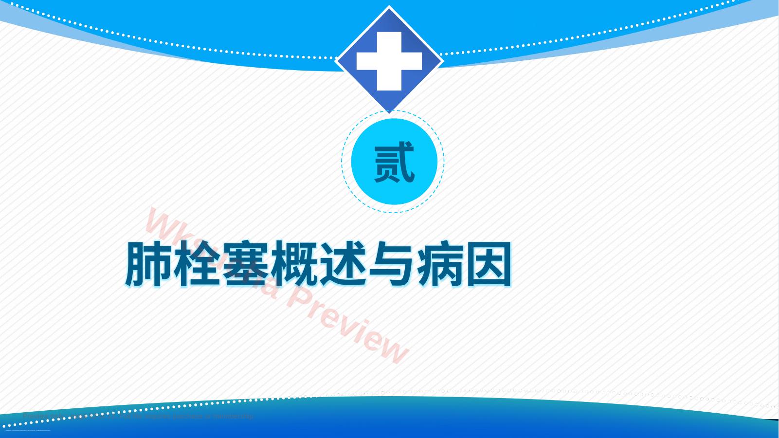 预览第 12 页