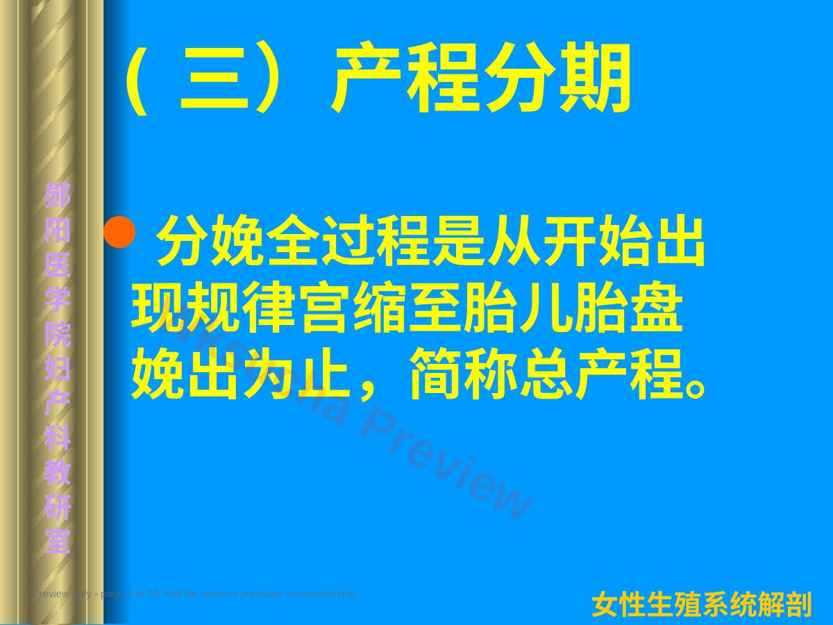 预览第 3 页