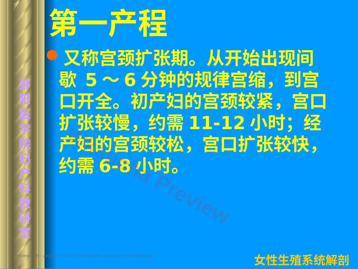 预览第 4 页