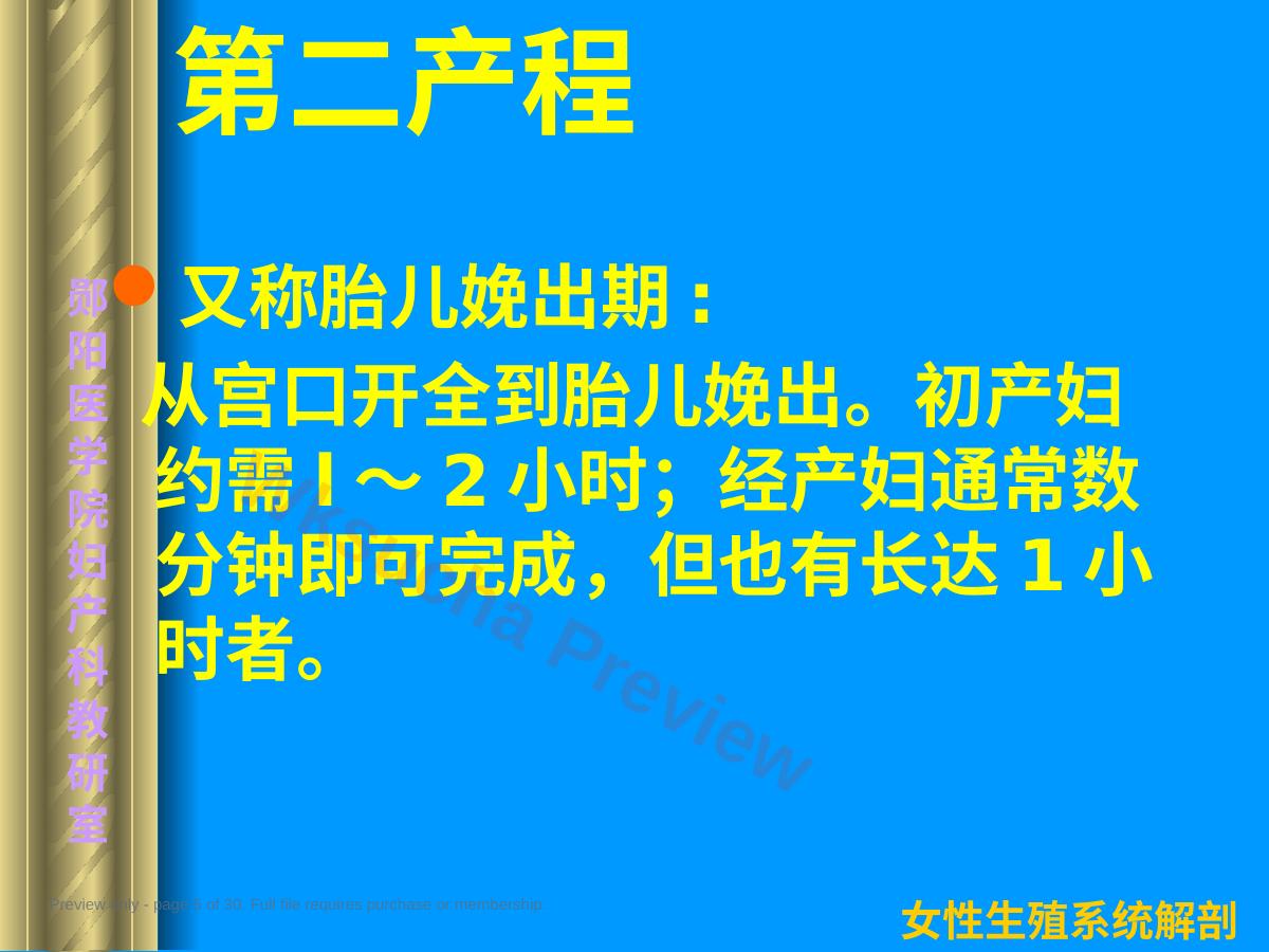 预览第 5 页