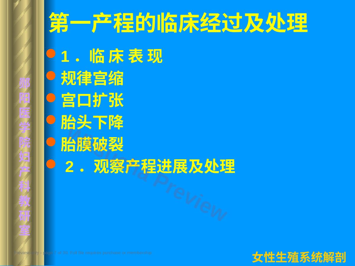 预览第 7 页