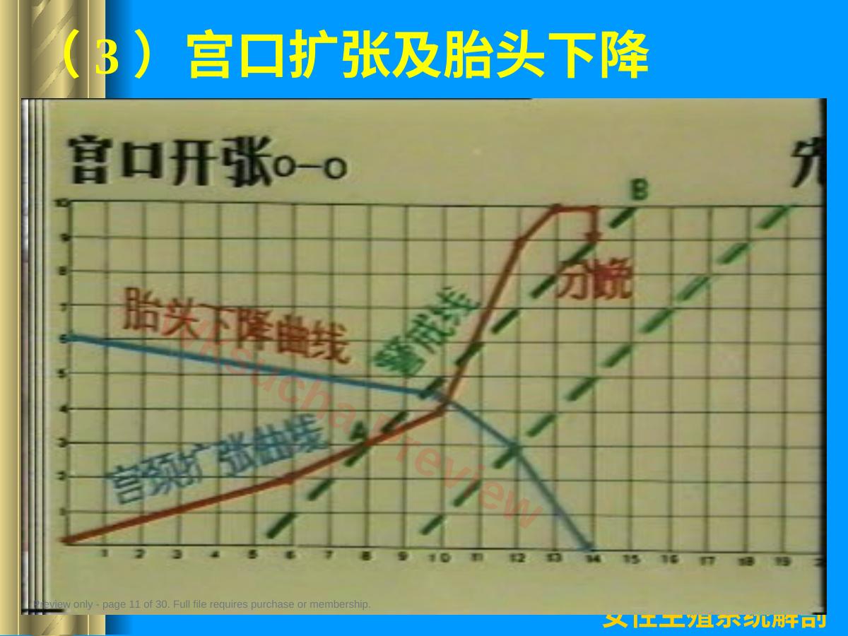 预览第 11 页