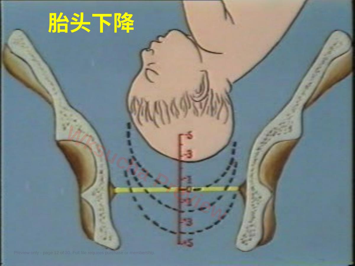 预览第 12 页