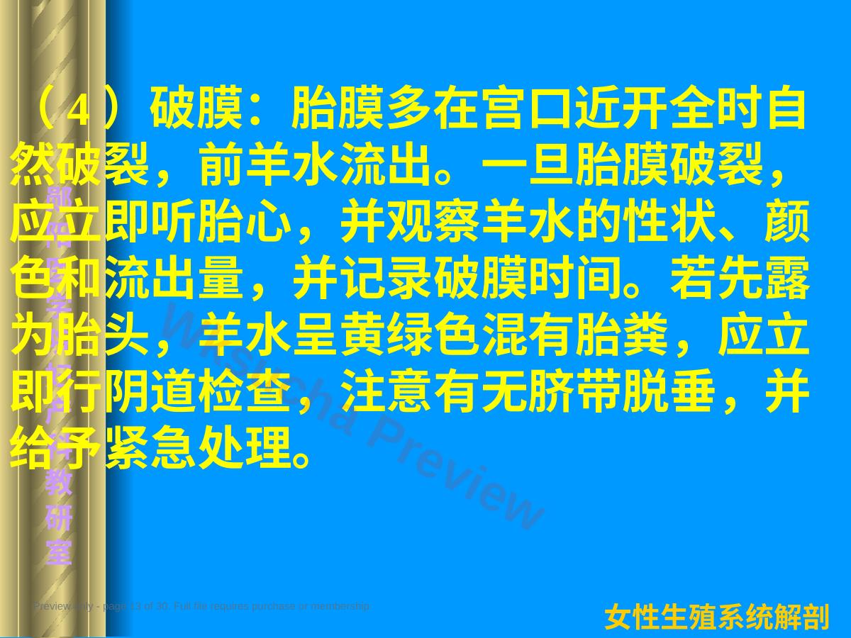 预览第 13 页