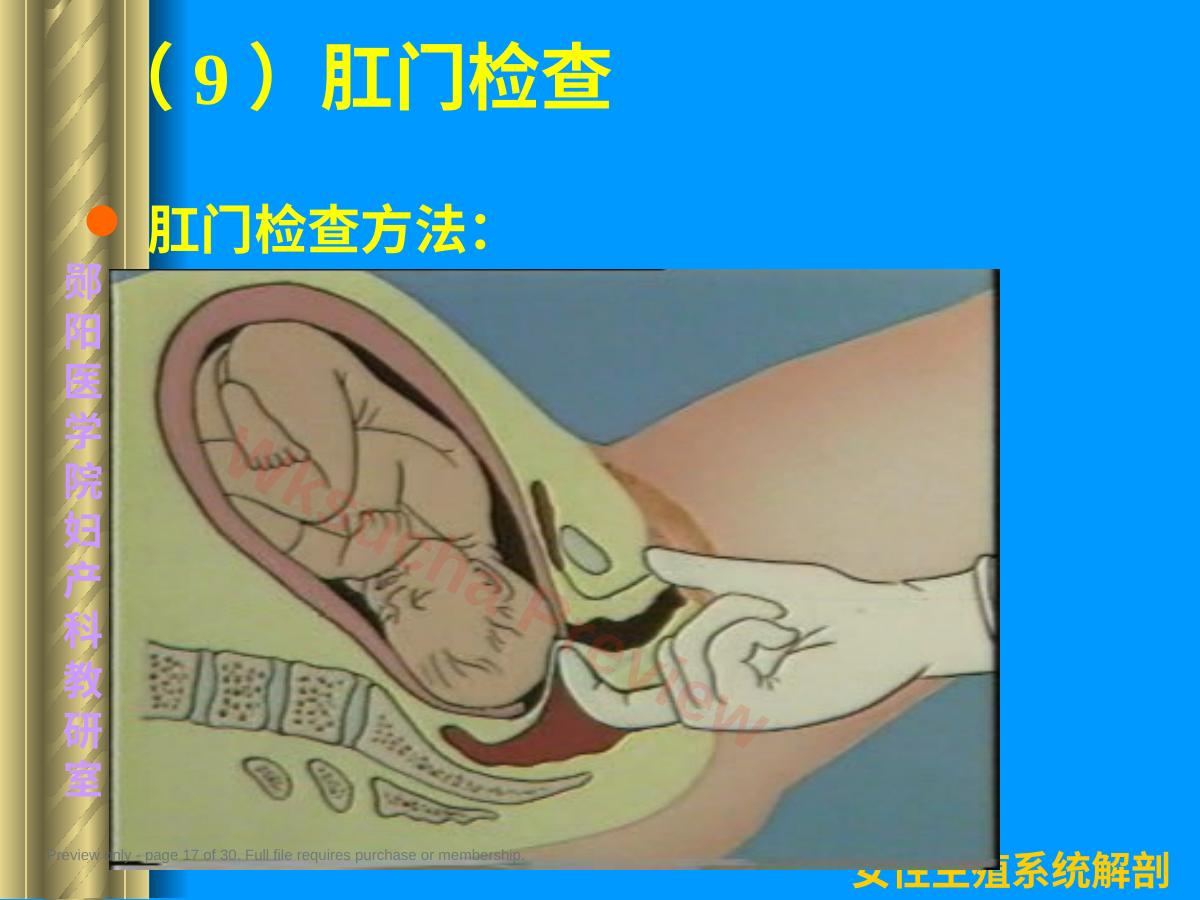 预览第 17 页