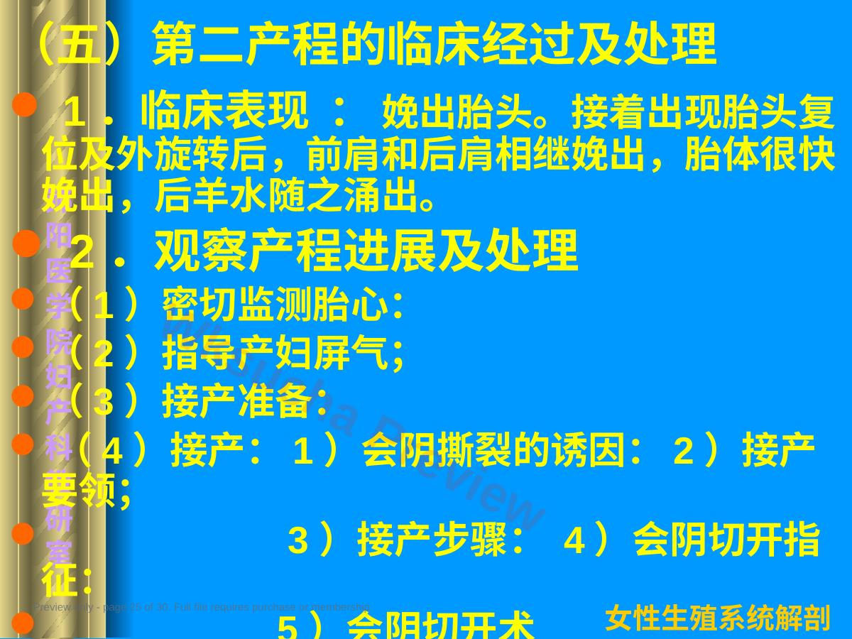 预览第 25 页