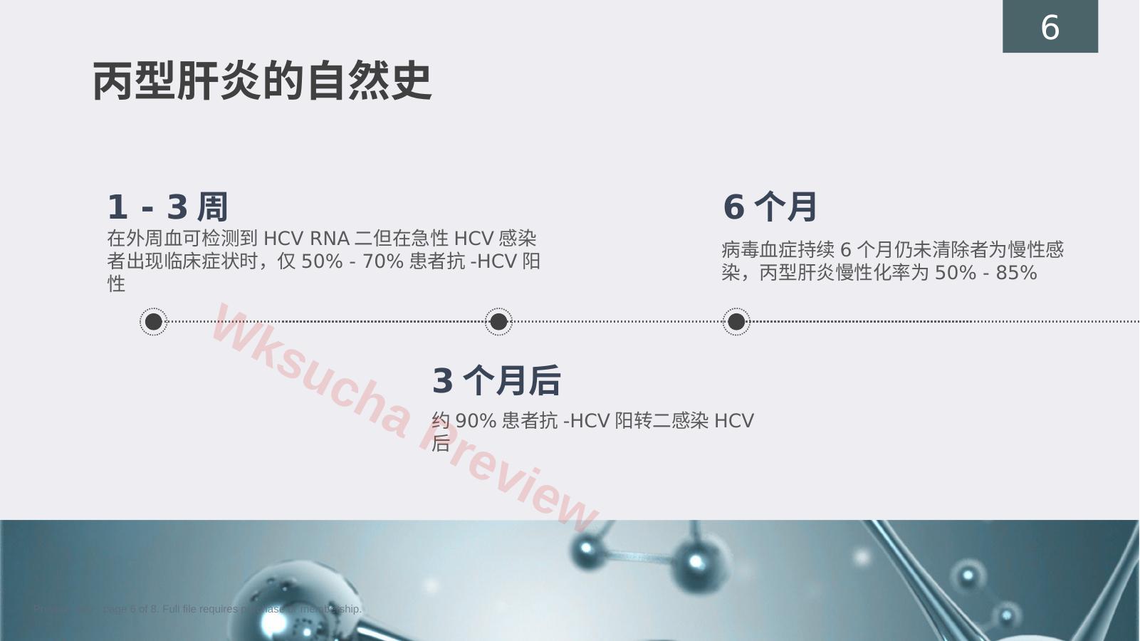 预览第 6 页