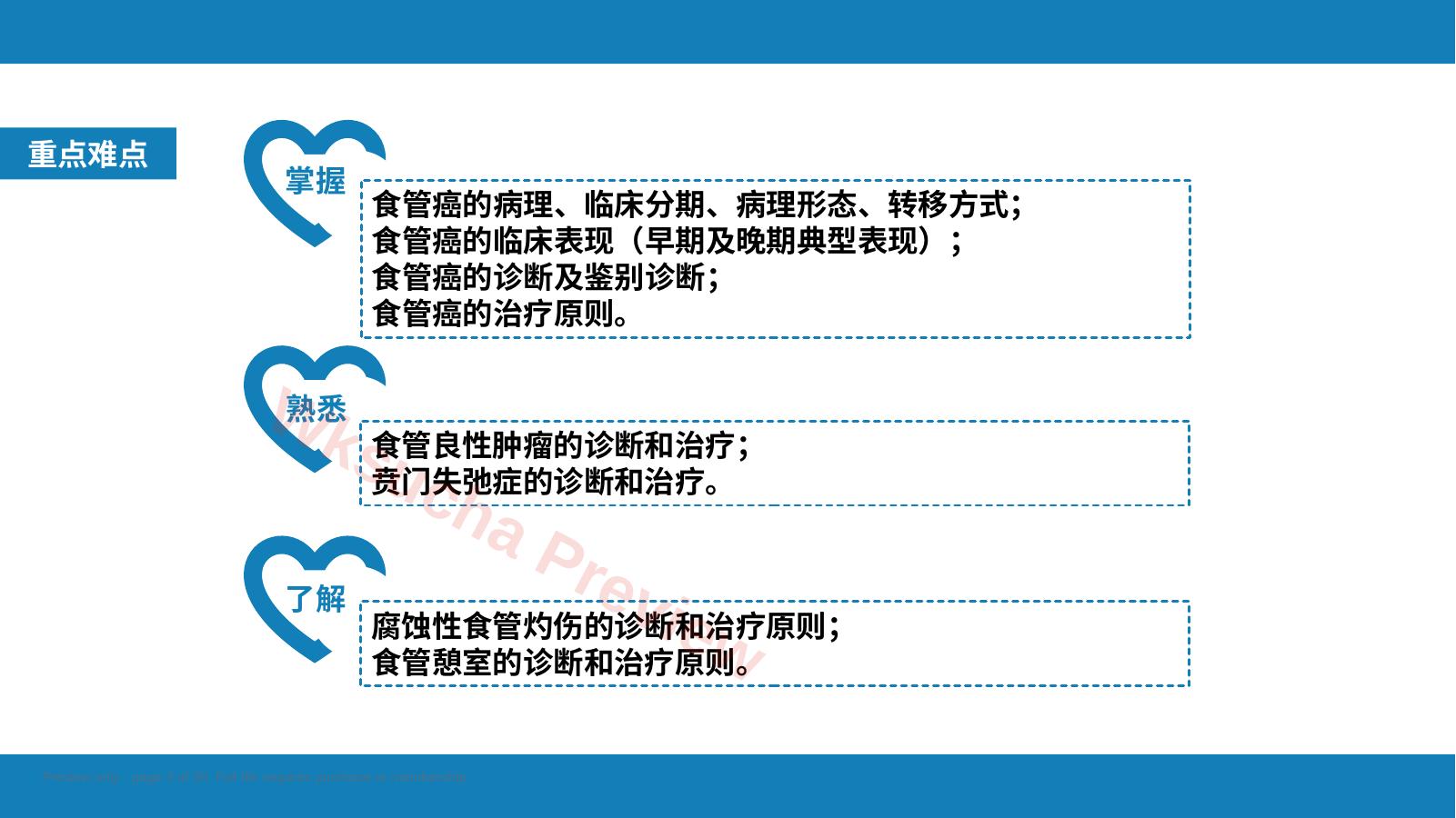 预览第 3 页