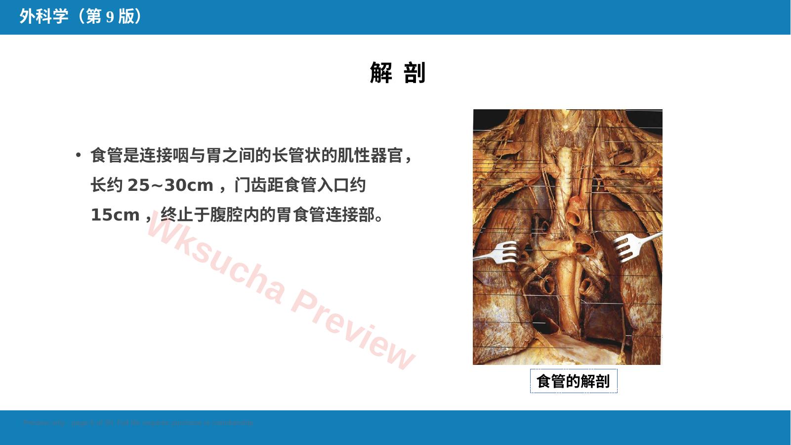 预览第 5 页