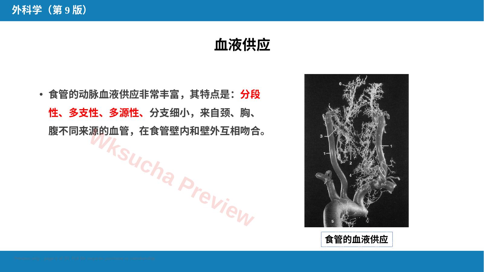 预览第 6 页