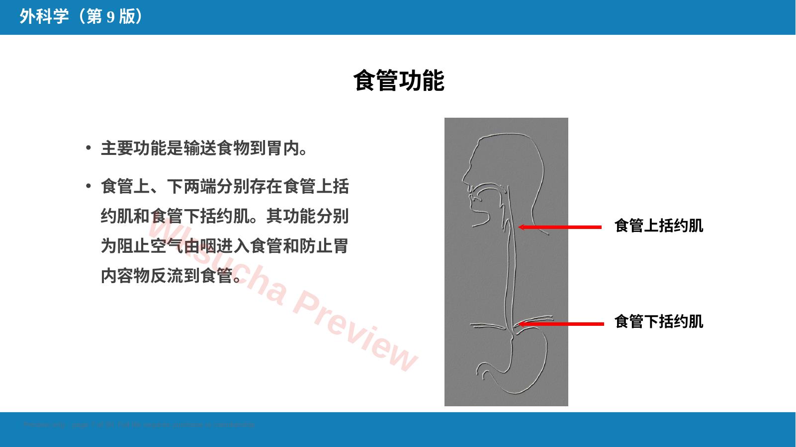 预览第 7 页