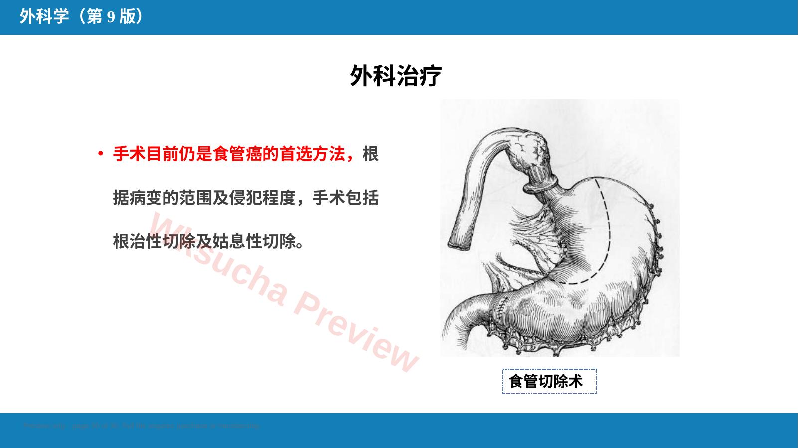 预览第 30 页