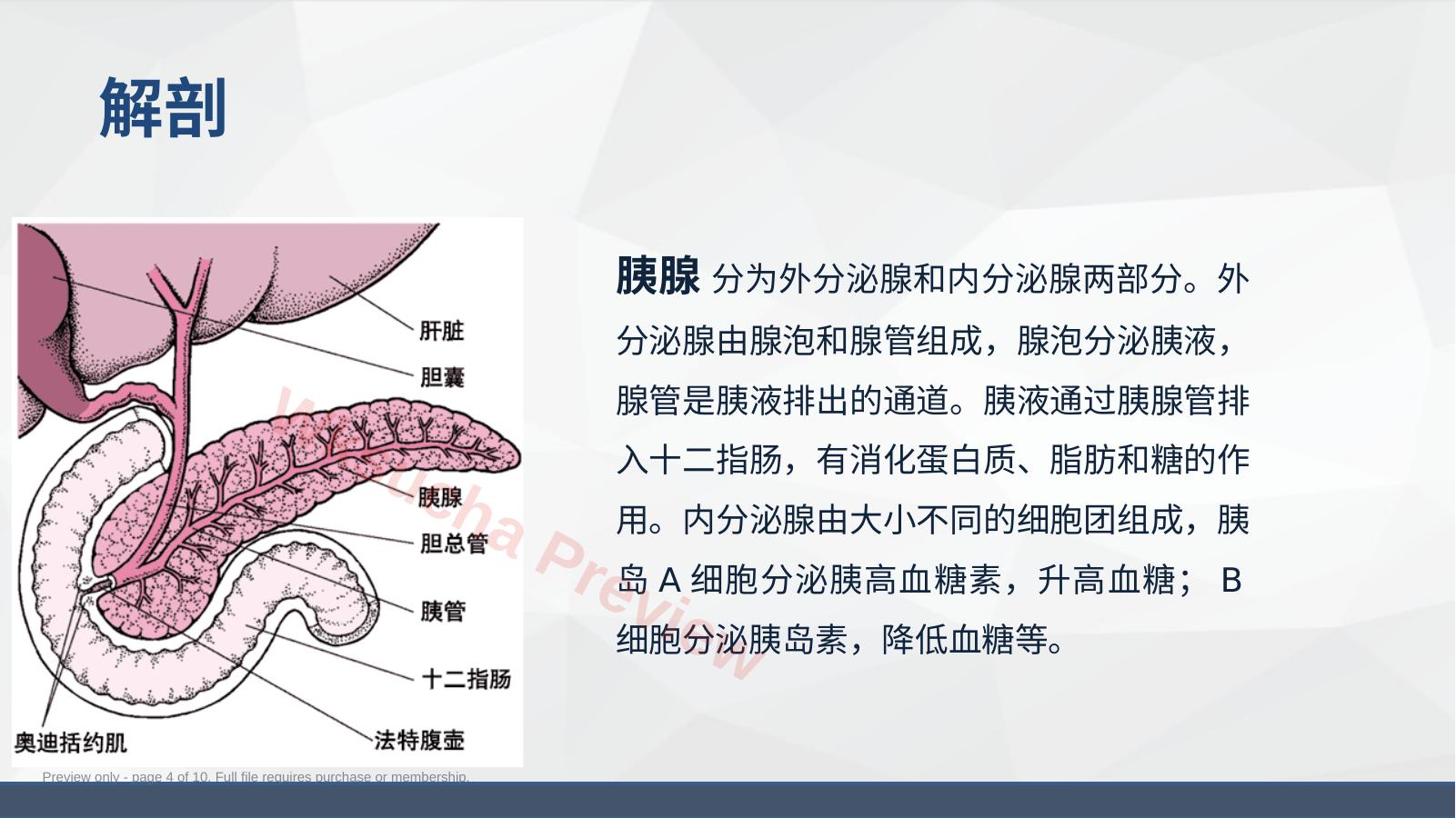 预览第 4 页