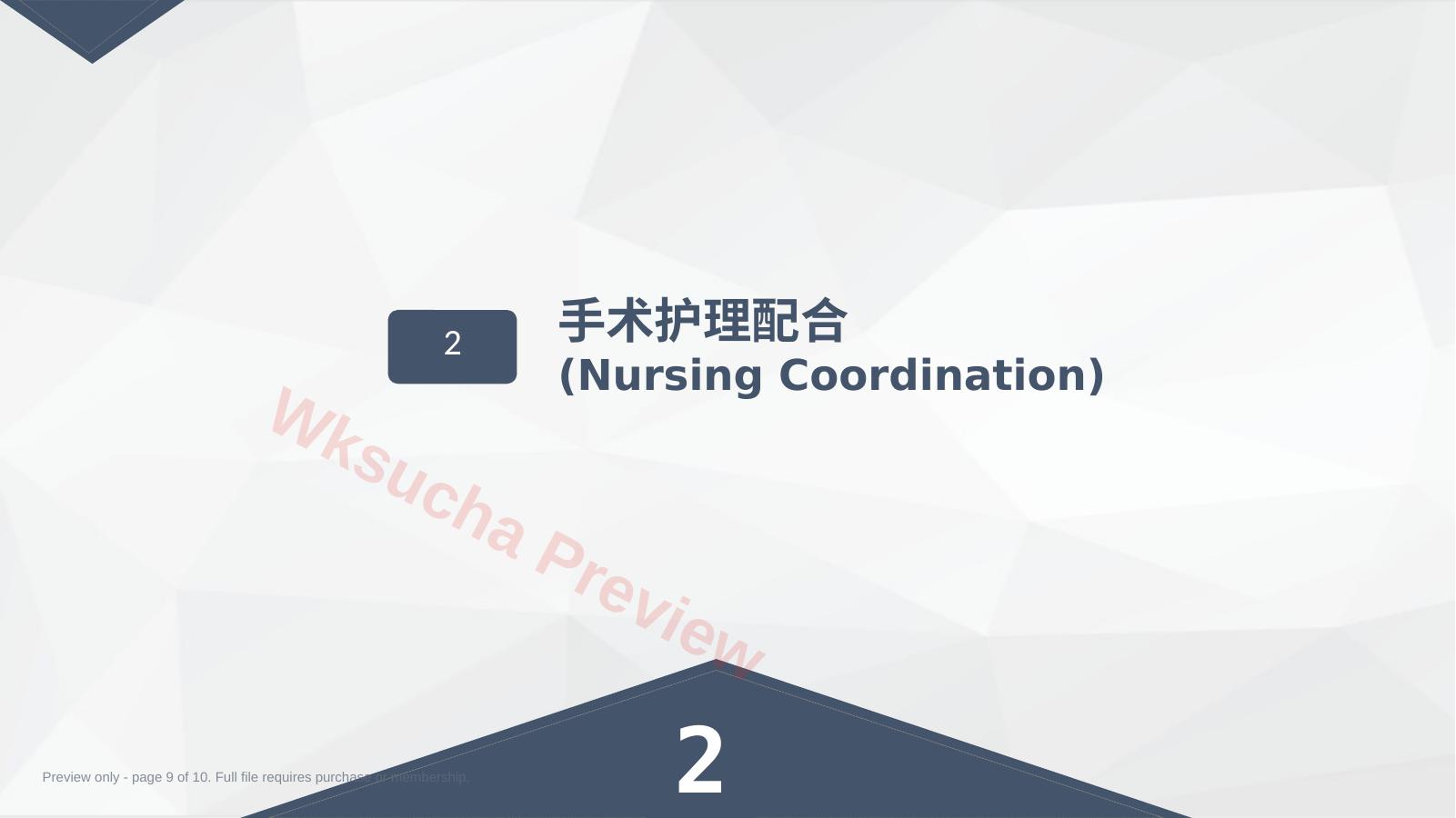 预览第 9 页