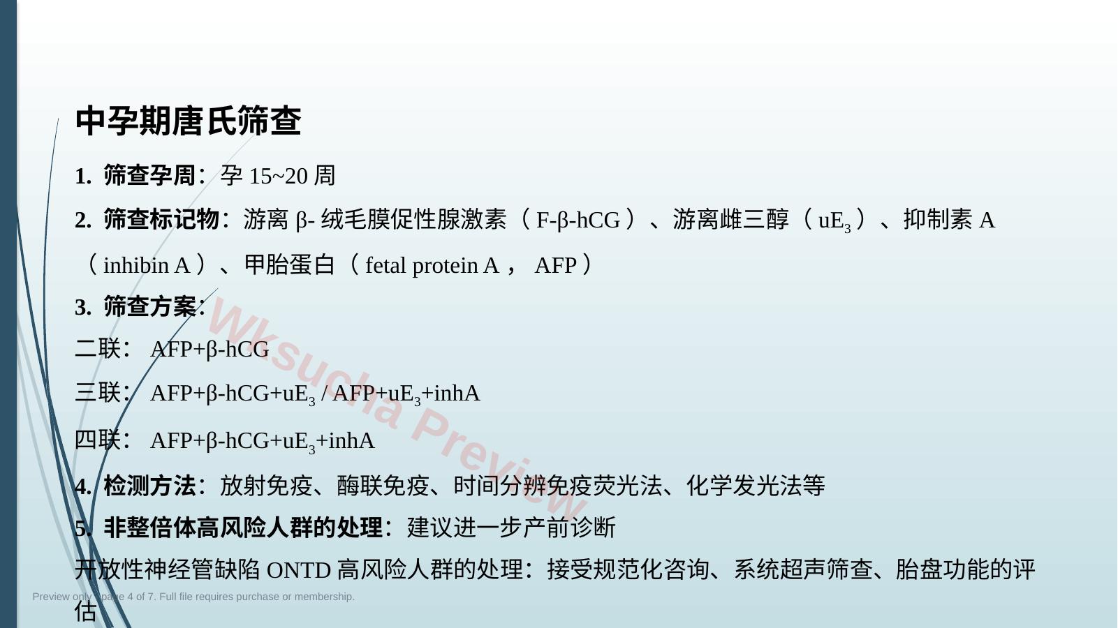 预览第 4 页