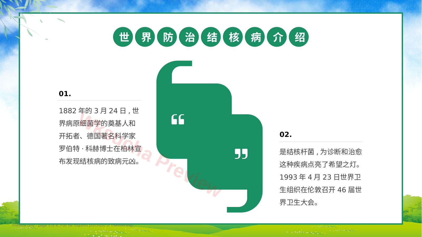 预览第 5 页