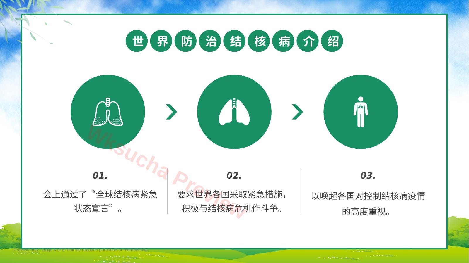 预览第 6 页