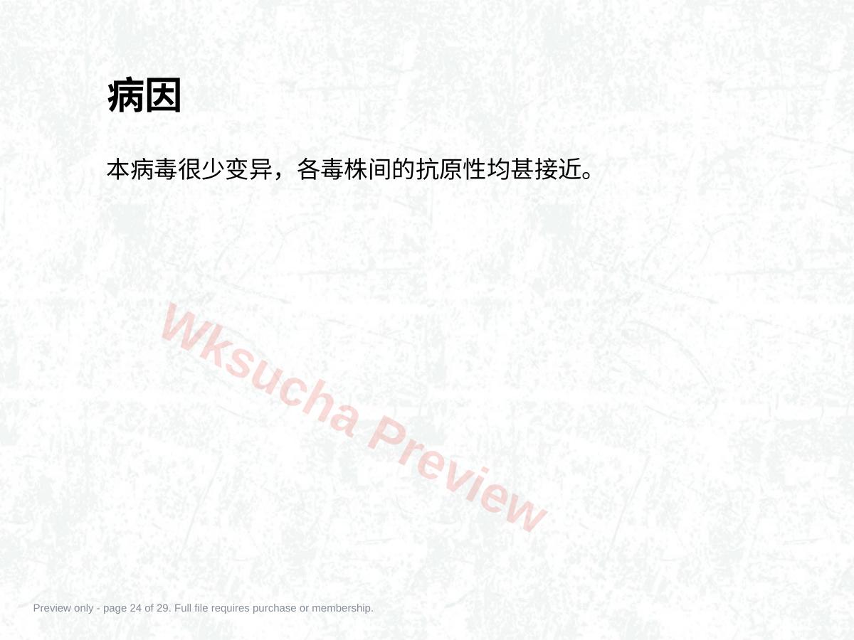 预览第 24 页