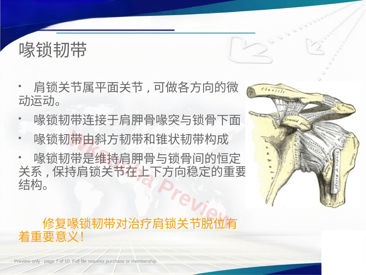预览第 7 页