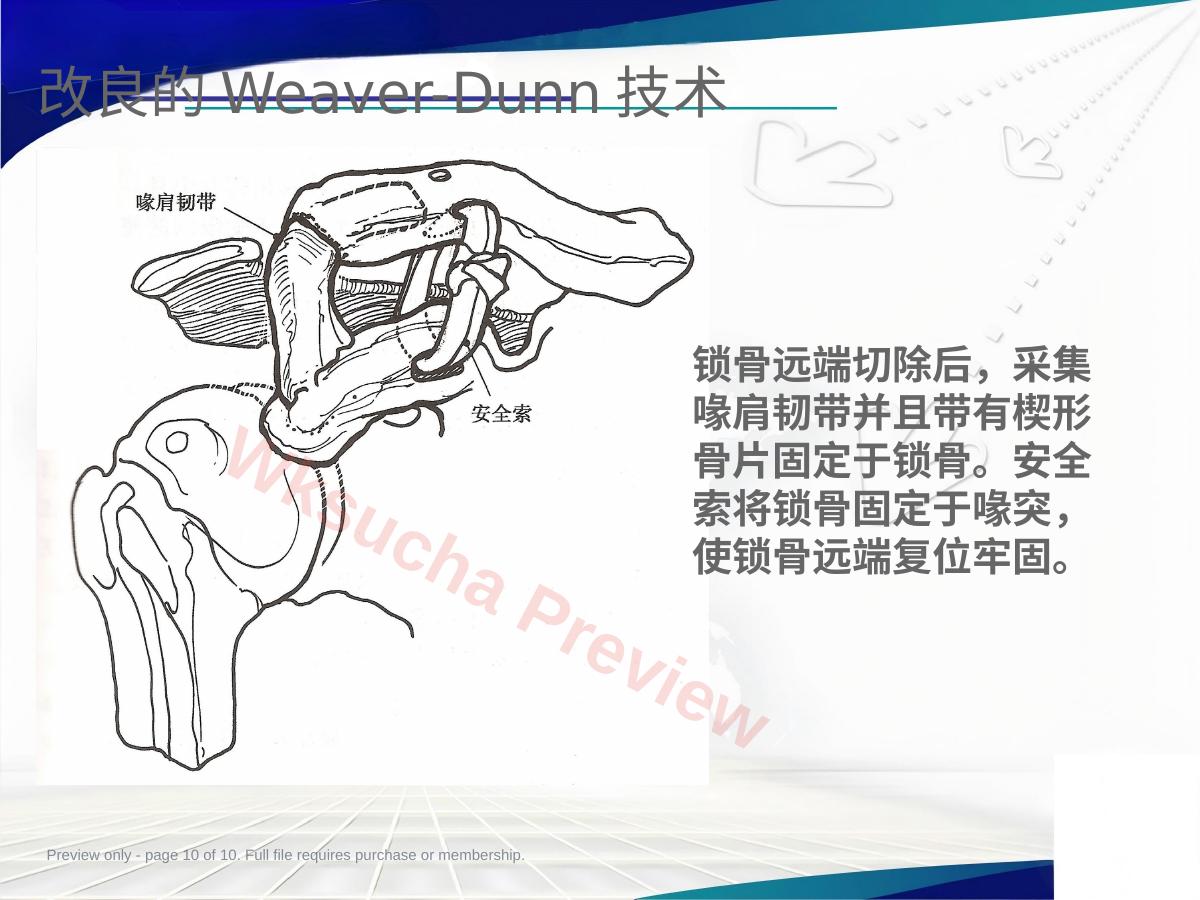 预览第 10 页