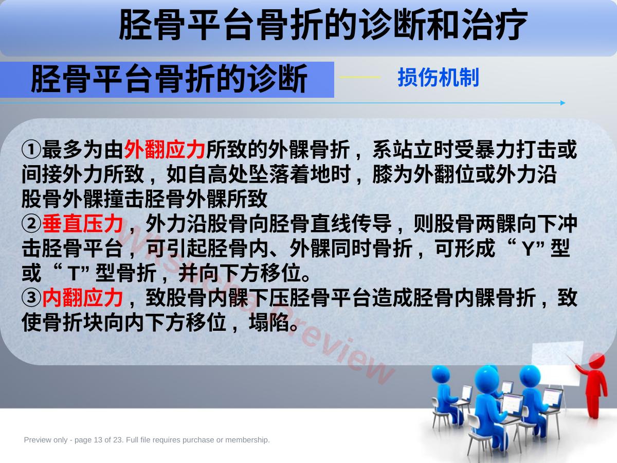 预览第 13 页