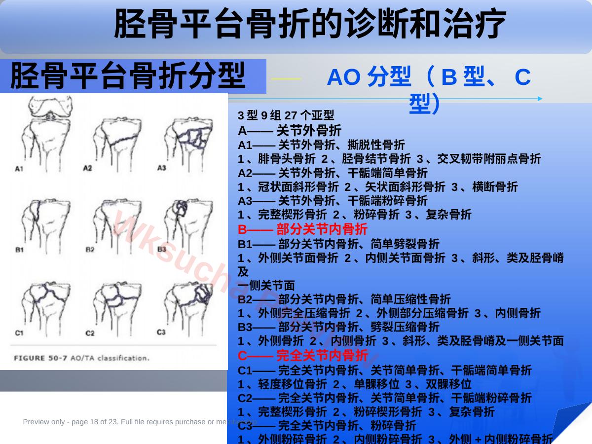 预览第 18 页
