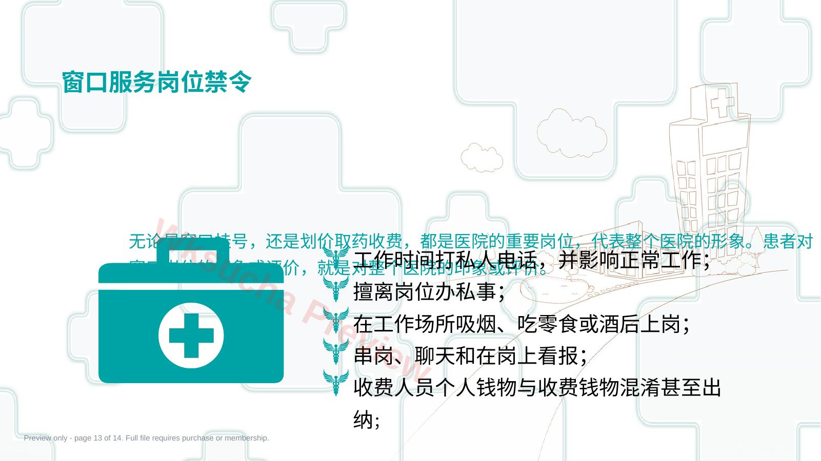 预览第 13 页